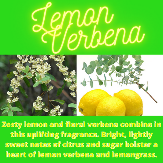 The Lemon Verbena Candle