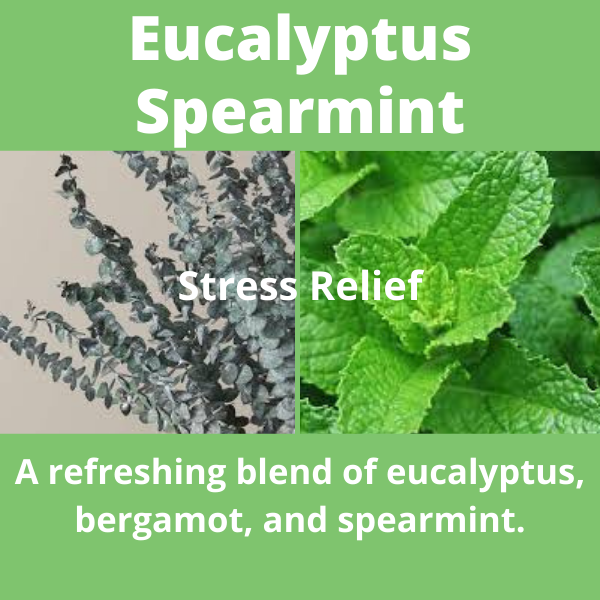 Eucalyptus Spearmint (Stress Relief) Candle