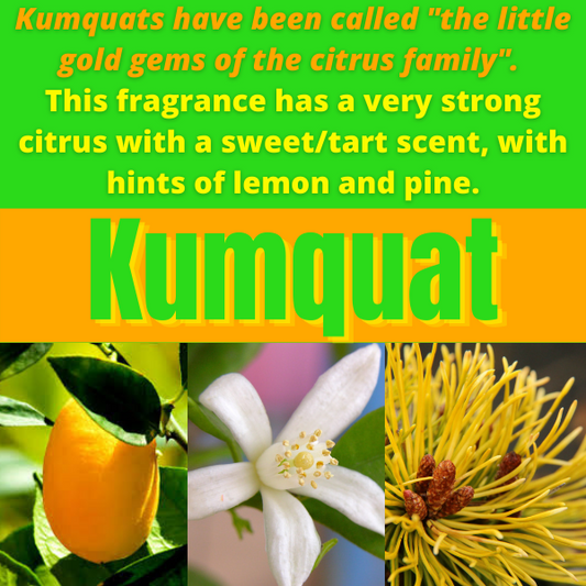 Vela de Kumquat