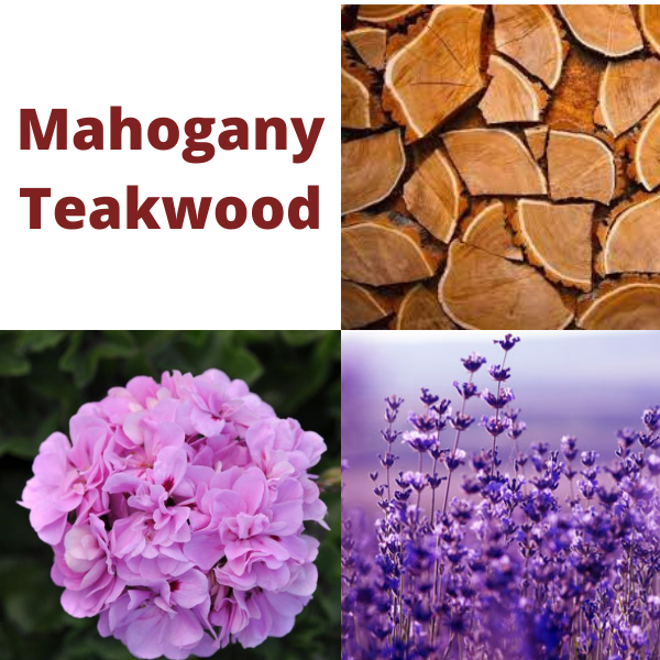 Teakwood and Mahogany Candle – Maddox & Ave